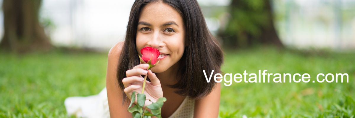 vegetalfrance.lorraine-modelisme.com